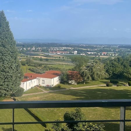 Ferienwohnung See- Und Bergblick Oberteuringen Exterior foto